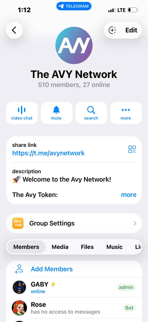 The AVY Network Telegram group with GABY listed as admin